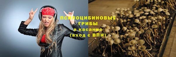 дмт Аркадак