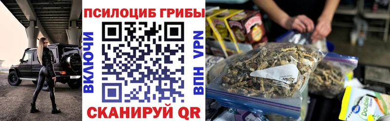 Купить закладки  Межгорье  Псилоцибиновые грибы мицелий 