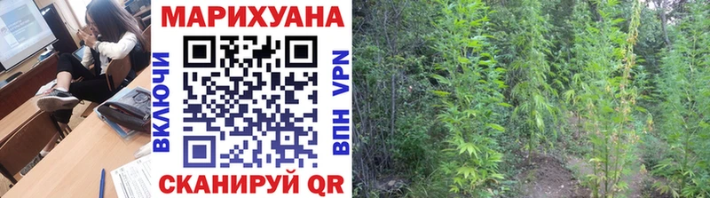 Каннабис White Widow  Купить где  Межгорье 